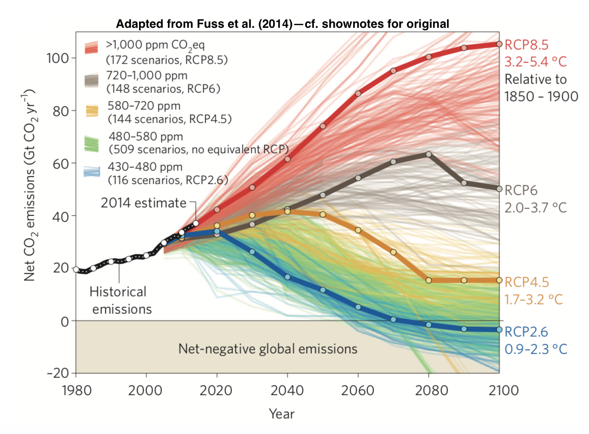 Fuss et al. (2014): Betting on negative emissions
